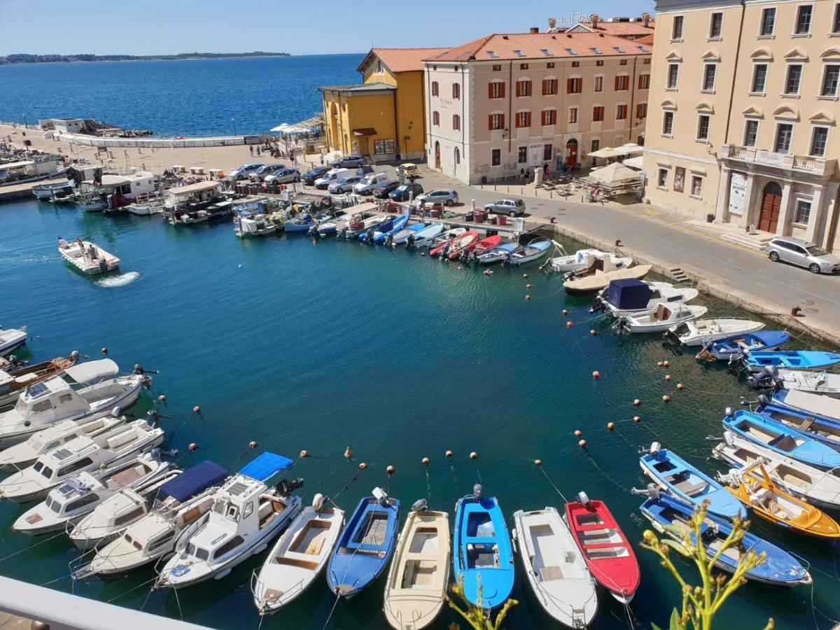 Studio11 Mist -tomsiceva 3 Piran