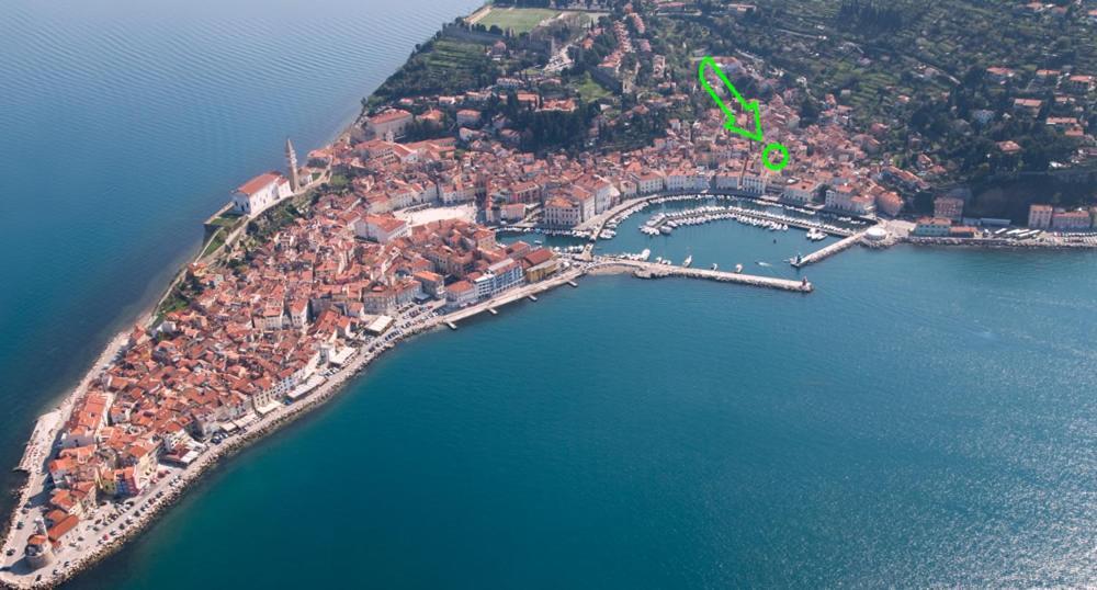Studio11 Mist -tomsiceva 3 Apartment Piran