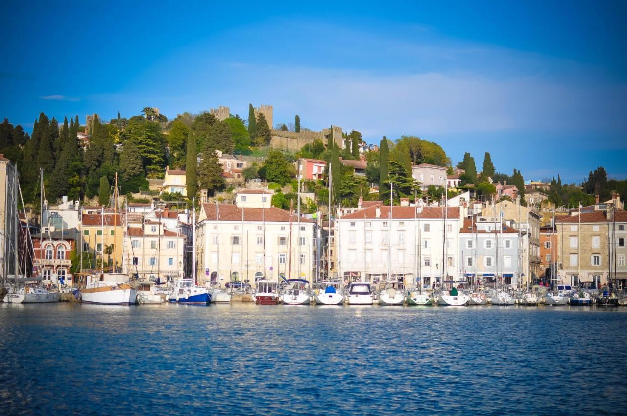 Apartment Studio11 Mist -tomsiceva 3 Piran